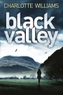 Black Valley: A Jessica Mayhew Novel 2