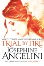 Trial By Fire: The Worldwalker Trilogy 1