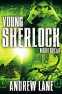 Night Break: Young Sherlock Holmes 8