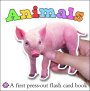 Animals Flash Card Book
