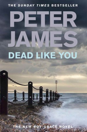 Dead Like You: A Roy Grace Novel 6