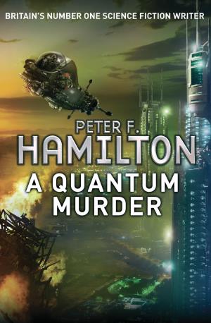 A Quantum Murder: The Mandel Files 2