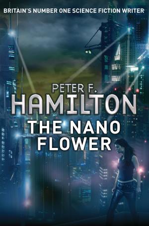 The Nano Flower: The Mandel Files 3