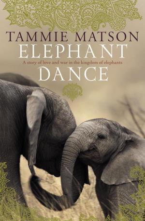 Elephant Dance