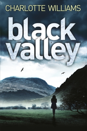 Black Valley: A Jessica Mayhew Novel 2