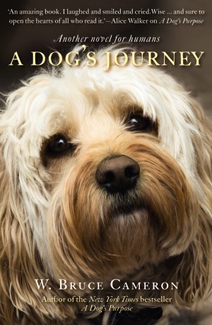 A Dog's Journey