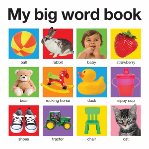 My Big Word Book
